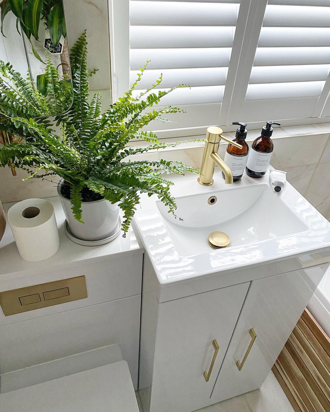 BOSTON FERN IN BATHROOM