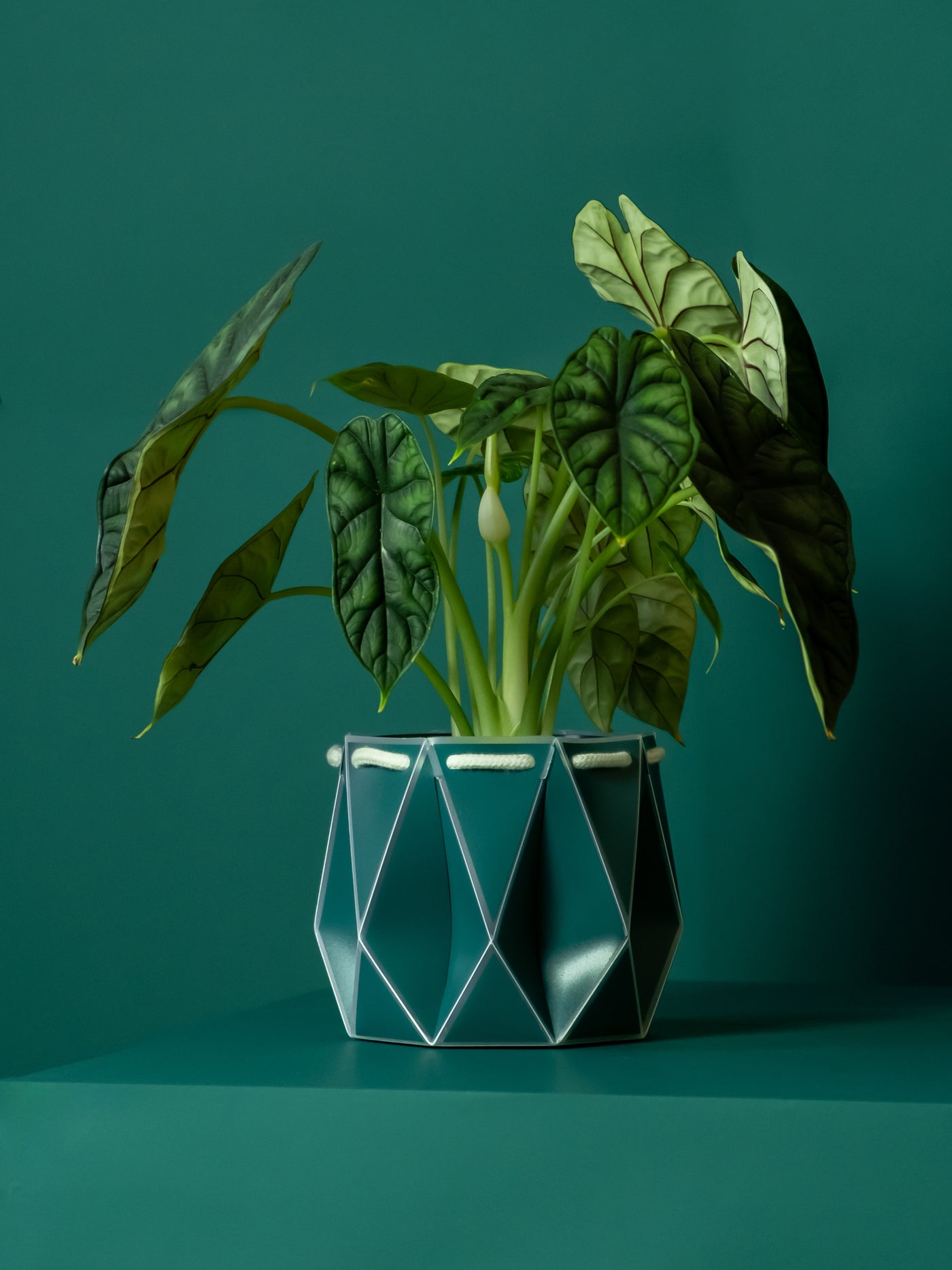 POTR Dark Teal Self-Watering Pot - House of Kojo