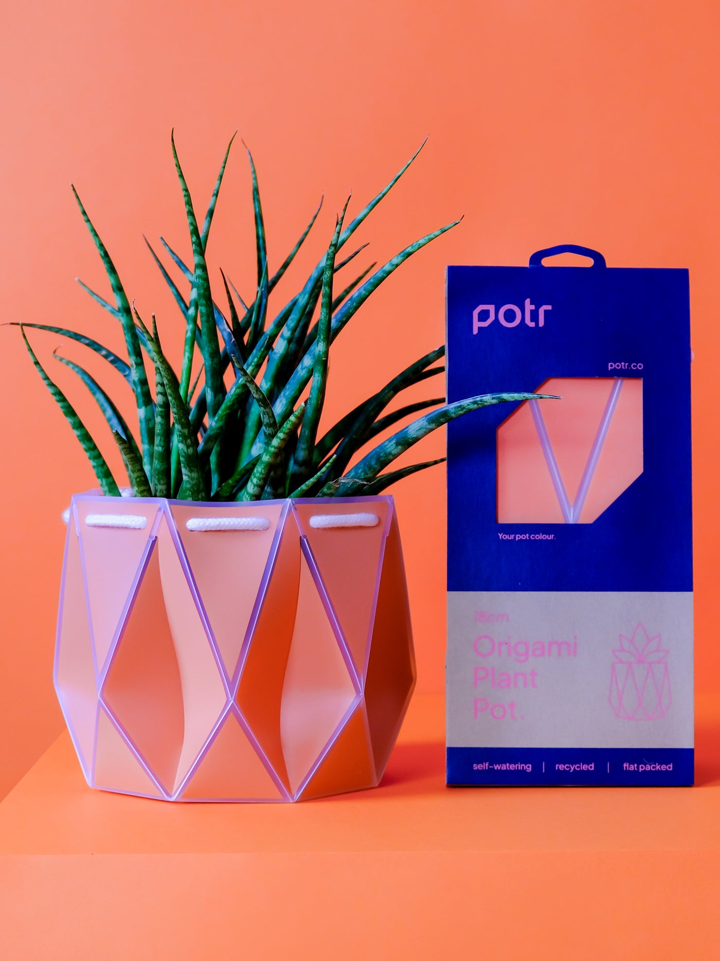 POTR Coral Self-Watering Pot - House of Kojo