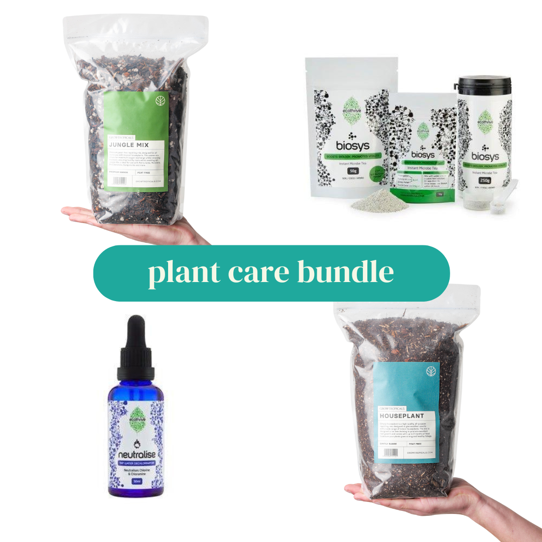 Plant Care Bundle - House of Kojo