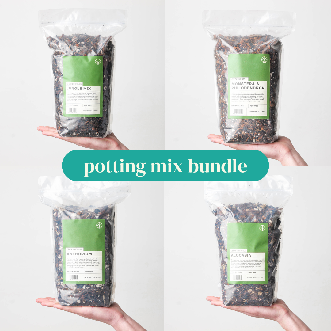 Aroid Potting Mix Bundle - House of Kojo