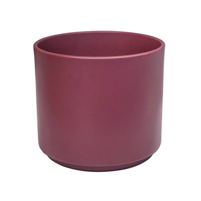 Prague Rose Plant Pot 16cm / Rose